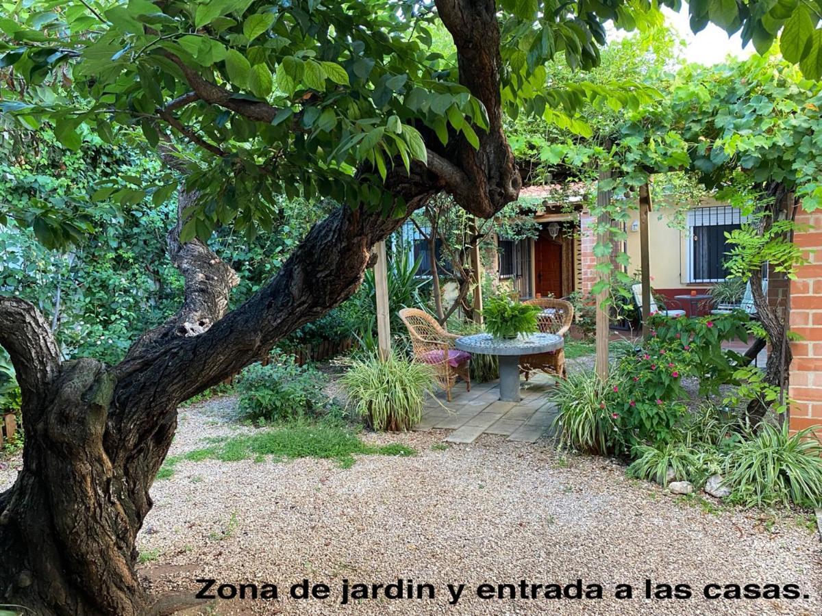 La Casa Rural De Carlos Playa de Gandia Ngoại thất bức ảnh